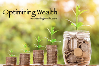 Optimizing Wealth Package
